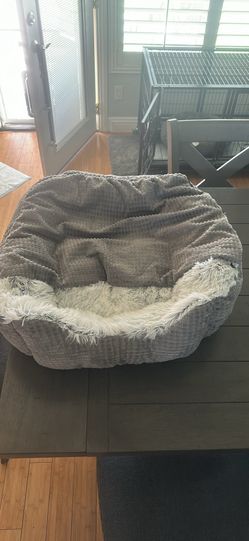 Bed Dog Cat