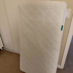 Newton Crib Mattress