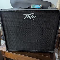 40w Peavey 1x12 w/ Blue Marvel Speaker