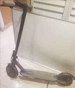 Ladped Electric Scooter