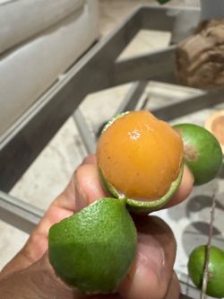 Sweet Guinep