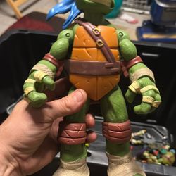 Teenage Mutant Ninja Turtles
