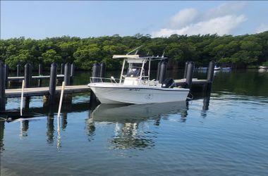 18'.09" - Trophy bayliner 1995 with an almost new 140  suzuki