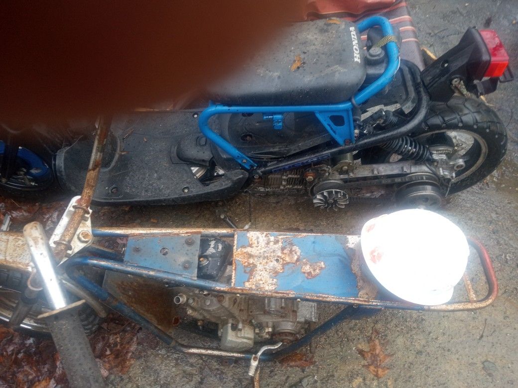 Rutkus Honda's
