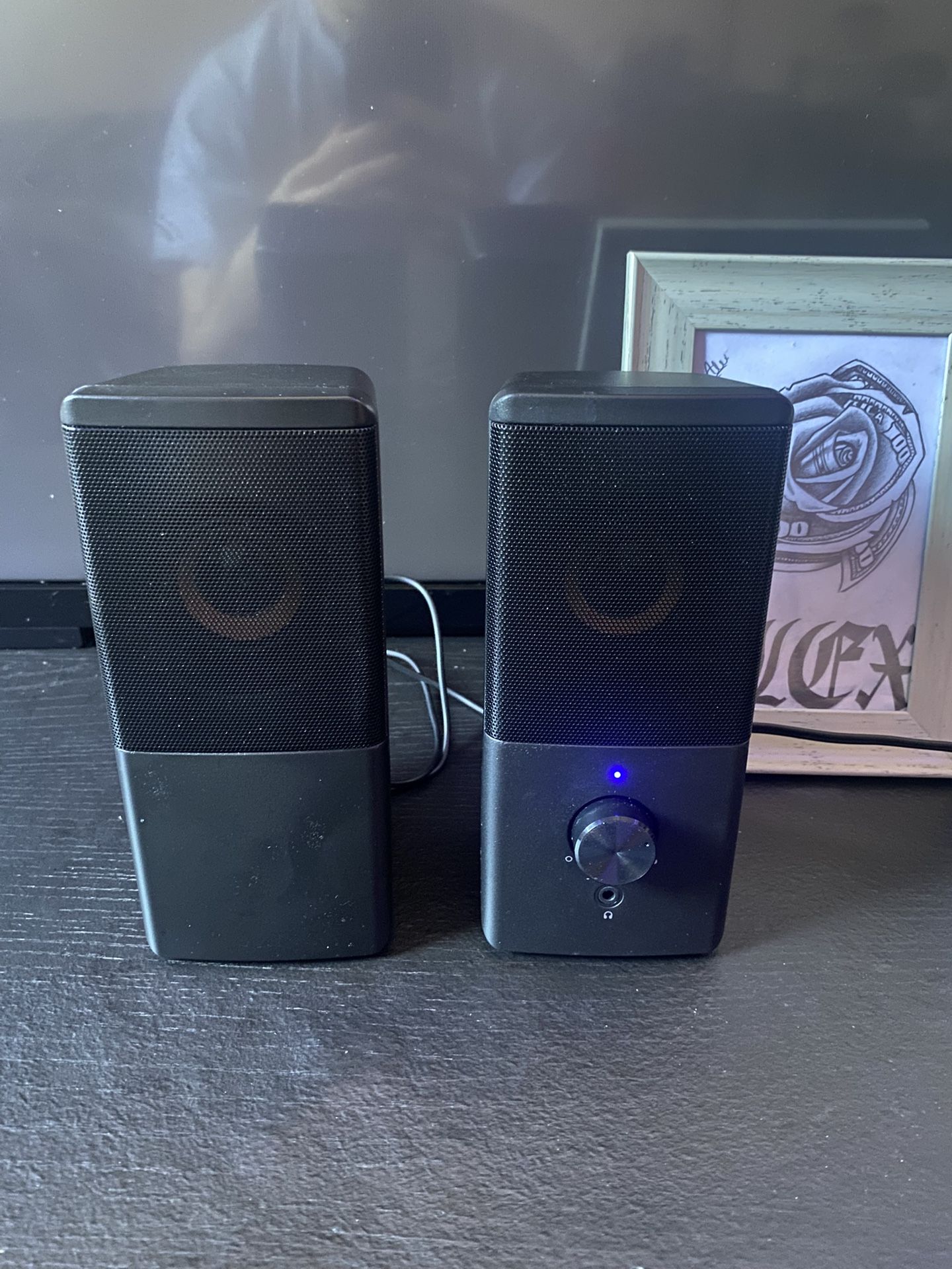 Roson Computer Speaker 