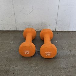 Weights two 7 lb hand weights