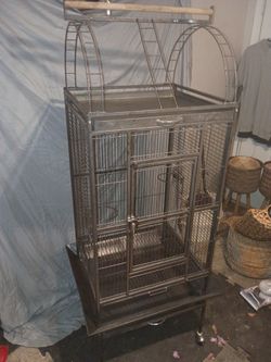 Bird Cage