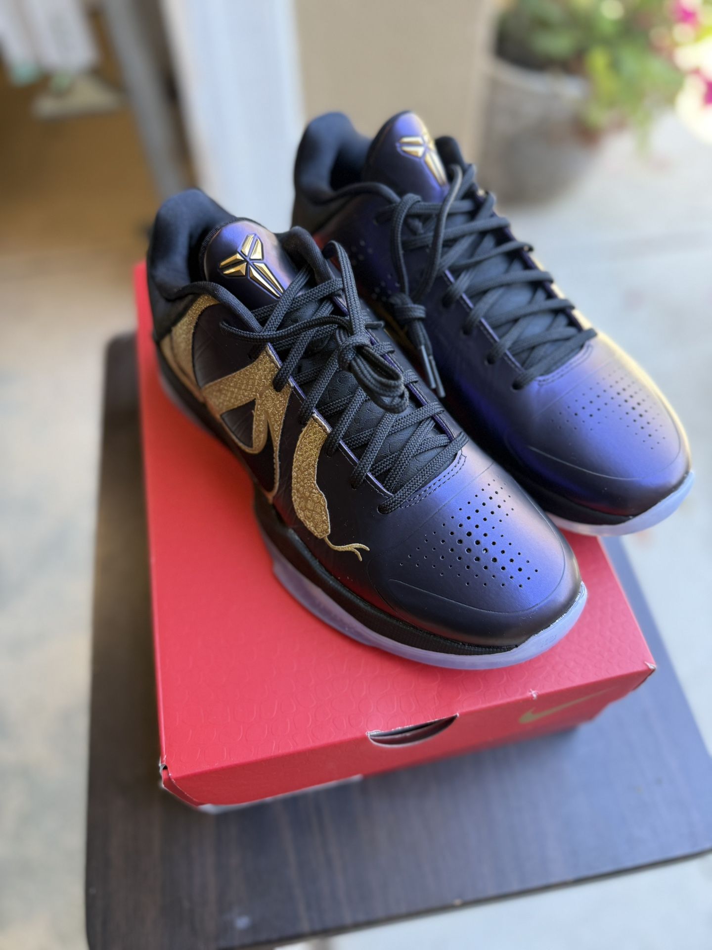 Nike Kobe Protro Year Of The Mamba Eggplant