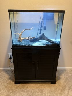 29 gallon tank and stand 