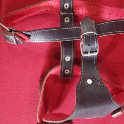 Leather Harness