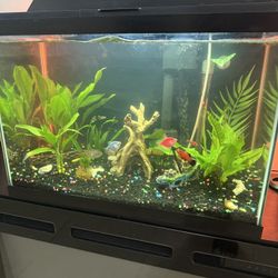 45 Gallon Tank