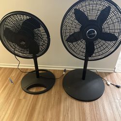 Fan, large and Small, $12 for both.