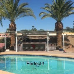 AZ Hardscape Landscape Tree Trimming Palm Clean Up Yrad