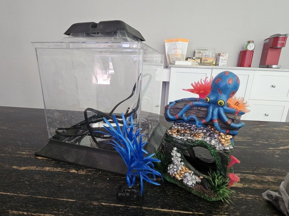 Small 7inx7in Fish Tank