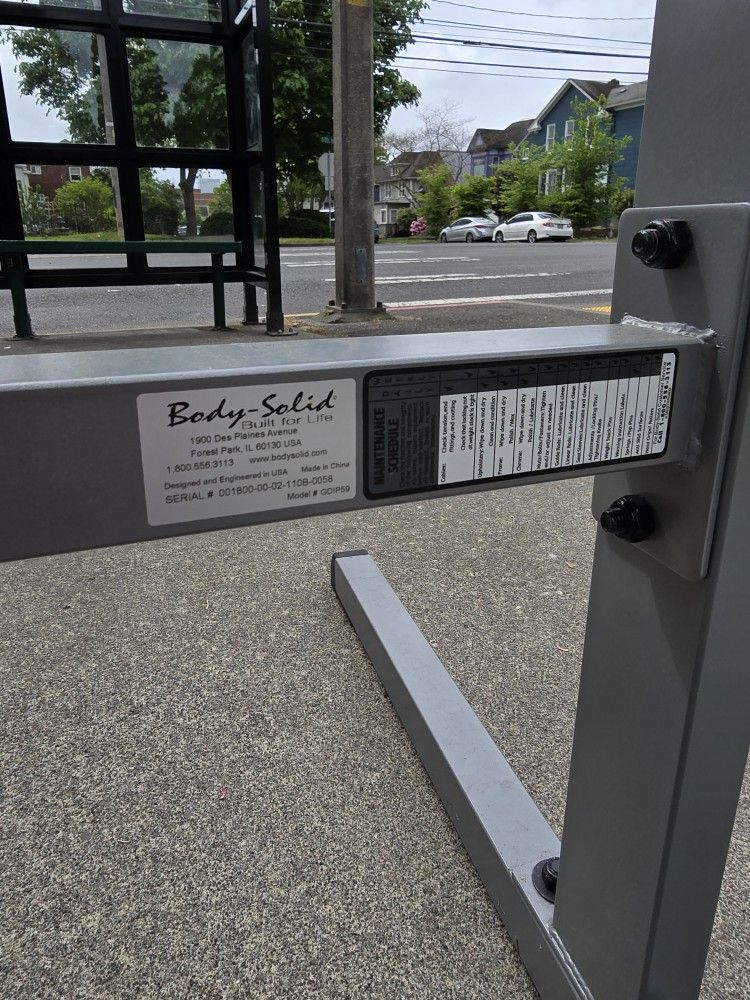 Dip Station For Home Gym