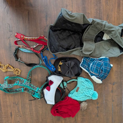 Dog vest, collars, hats all for $20