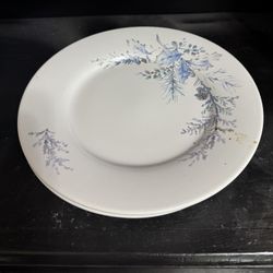 Vintage Pfaltzgraff Winter Frost Plates: Price For All Four