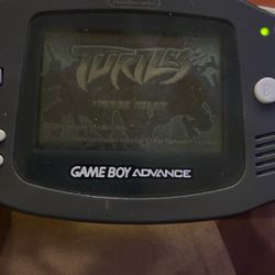 Teenage Mutant Ninja Turtles