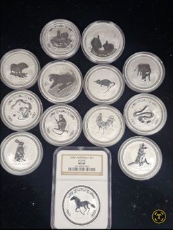 Silver zodiac's X signs.