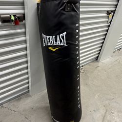 Everlast power core punching bag ONLY