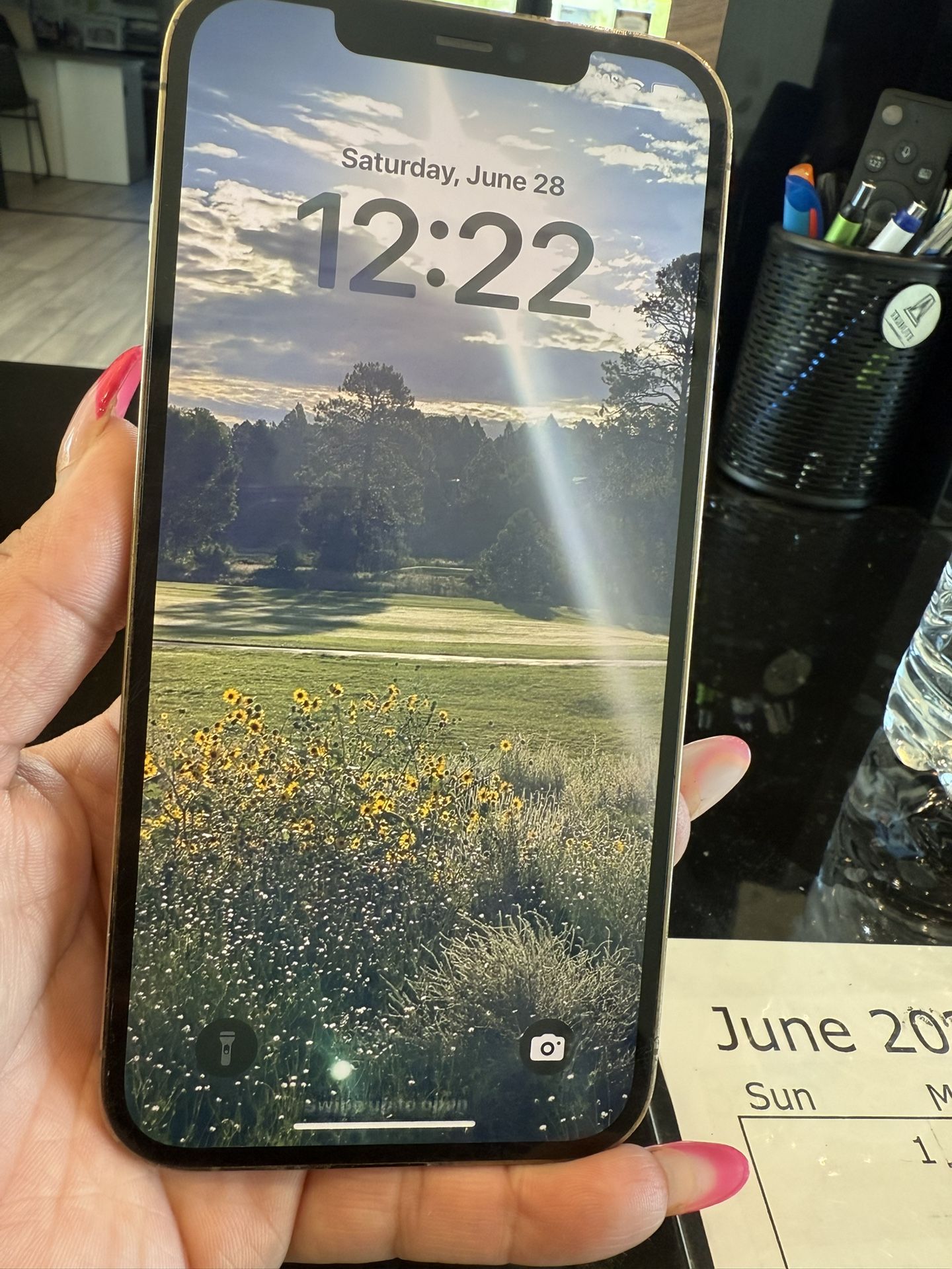 iPhone 12 Pro Max