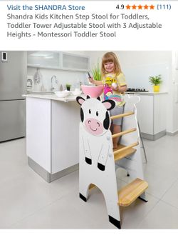 Step Stool Toddlers