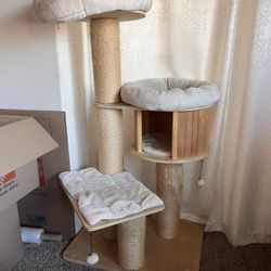Cat Tree 
