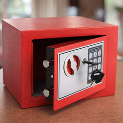 COMPACT SAFE