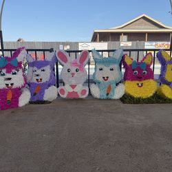 eggs /piñatas