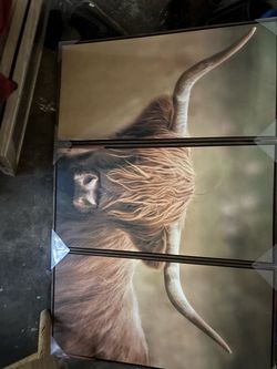 Highland Cow 3-Panel Wall Art