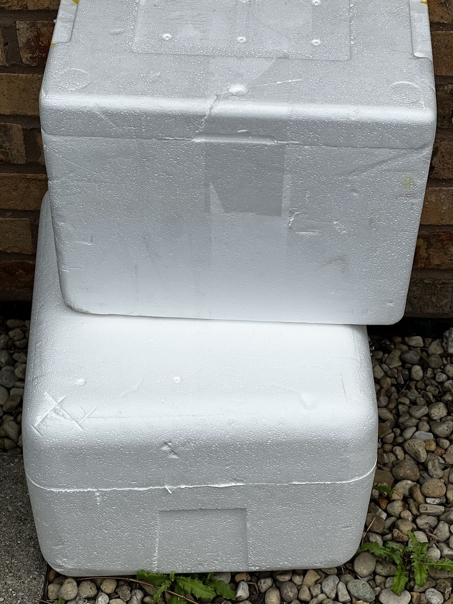 Foam Cooler For BAIT Or Anything Really
