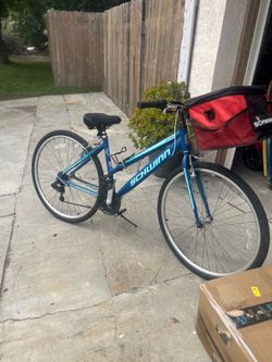 Schwinn Bike