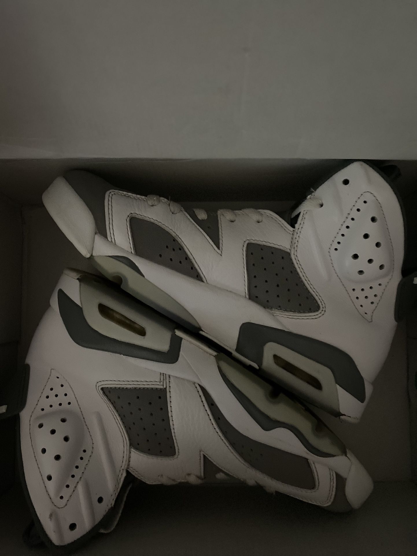 Jordan Retro 6s