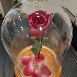 Beauty And The Beast Light Up Rose