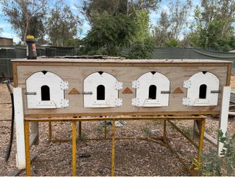 Rooster cage cajones