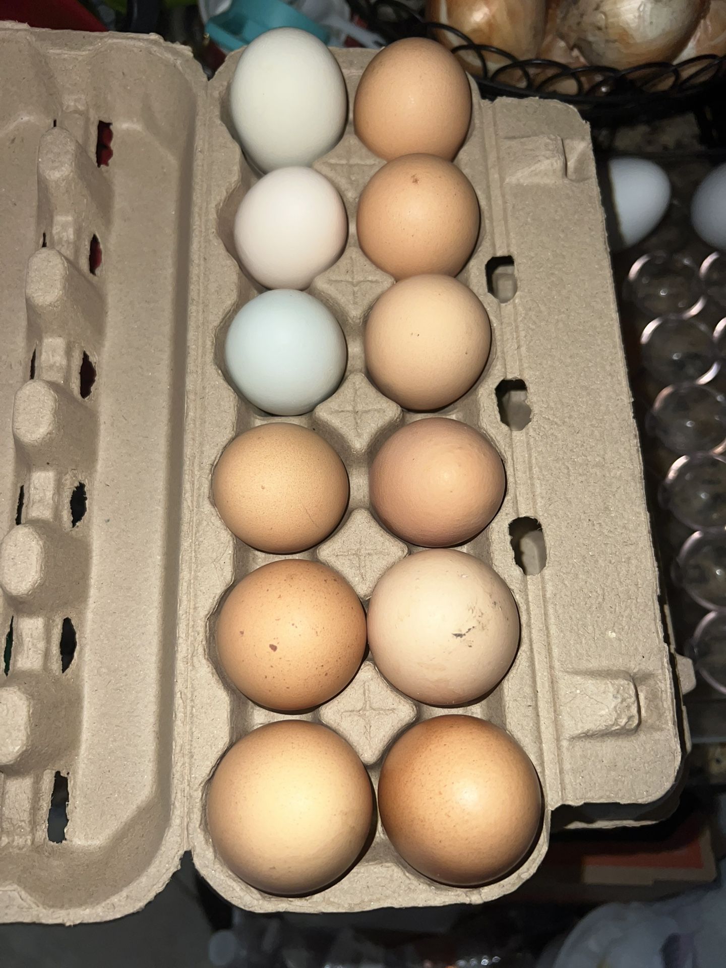 Eggs