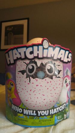 Hatchimals Toy!