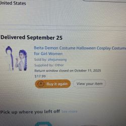 K pop demon hunters Rumi Purple hair wig