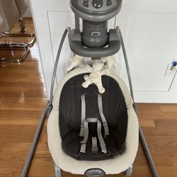Graco Duet Swing And Rocker With Removable Swing Seat 