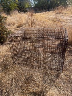 big cage