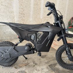 Electric Bike 