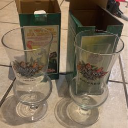 Rain Forest Glass Souvenir Cups -Chicago 