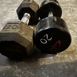 20lb Dumbbells 