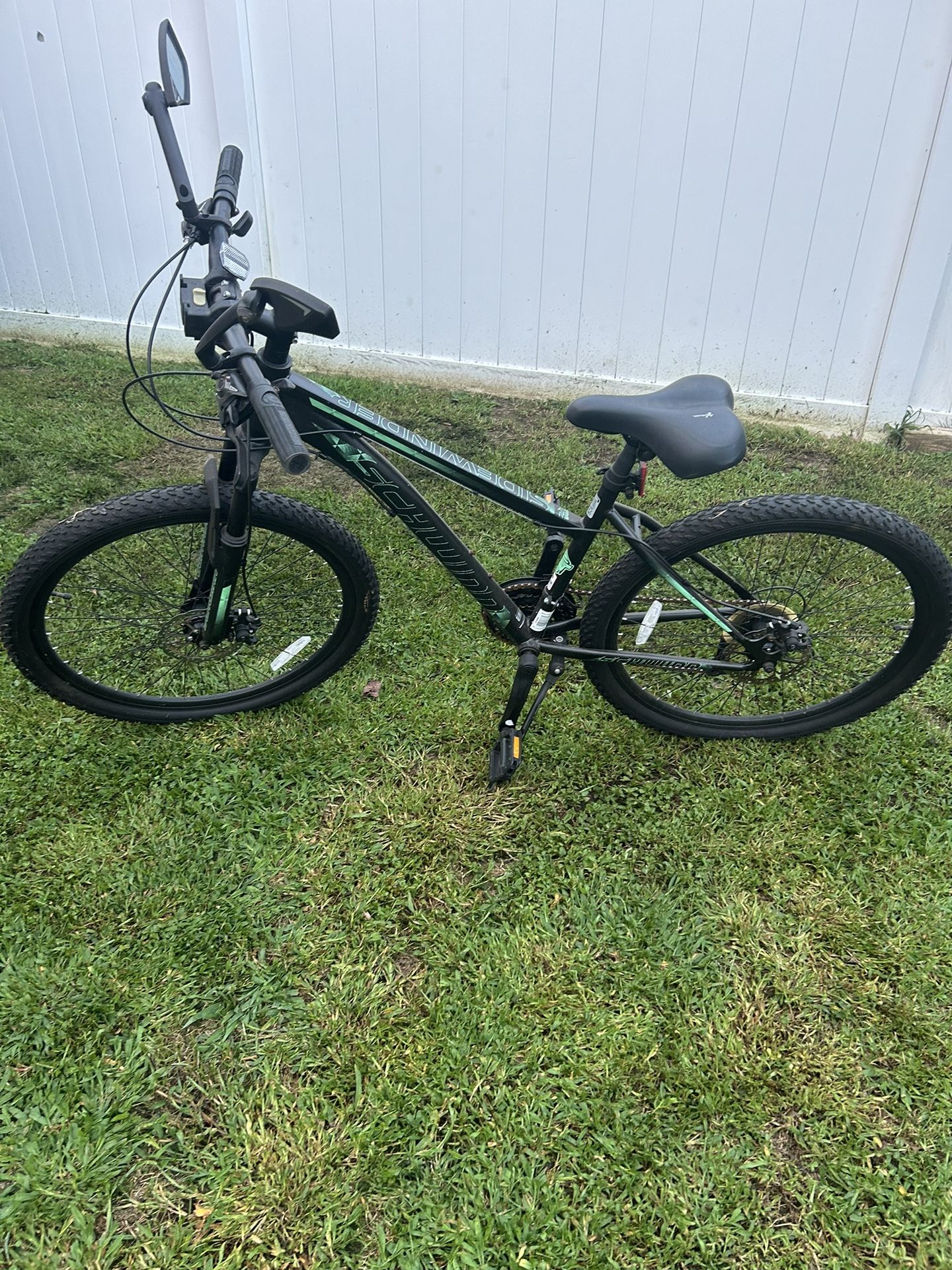 Adult Bike
