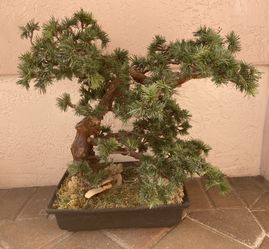 Large Artificial BONSAI Pine Tree, Retail New $300+, Stands 23 inch, about 19-20 inch wide, base pot is 10 1/4 inch by 14 3/4 inch, pick up West Boyn