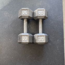 Pair Of 30lb Dumbbells $60