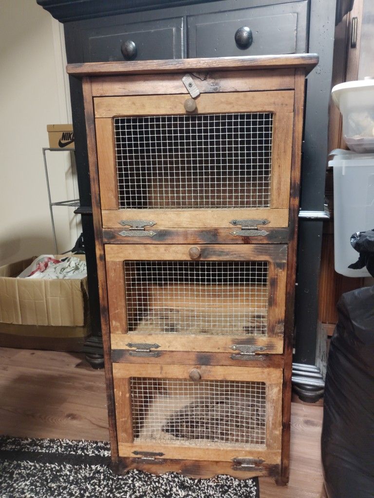 Grandma's Vegetable Bin