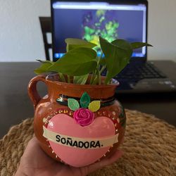 Planta Hermosa y saludable en Jarro de Barro Artesanal $33 perfecta como regalito especial para mamá