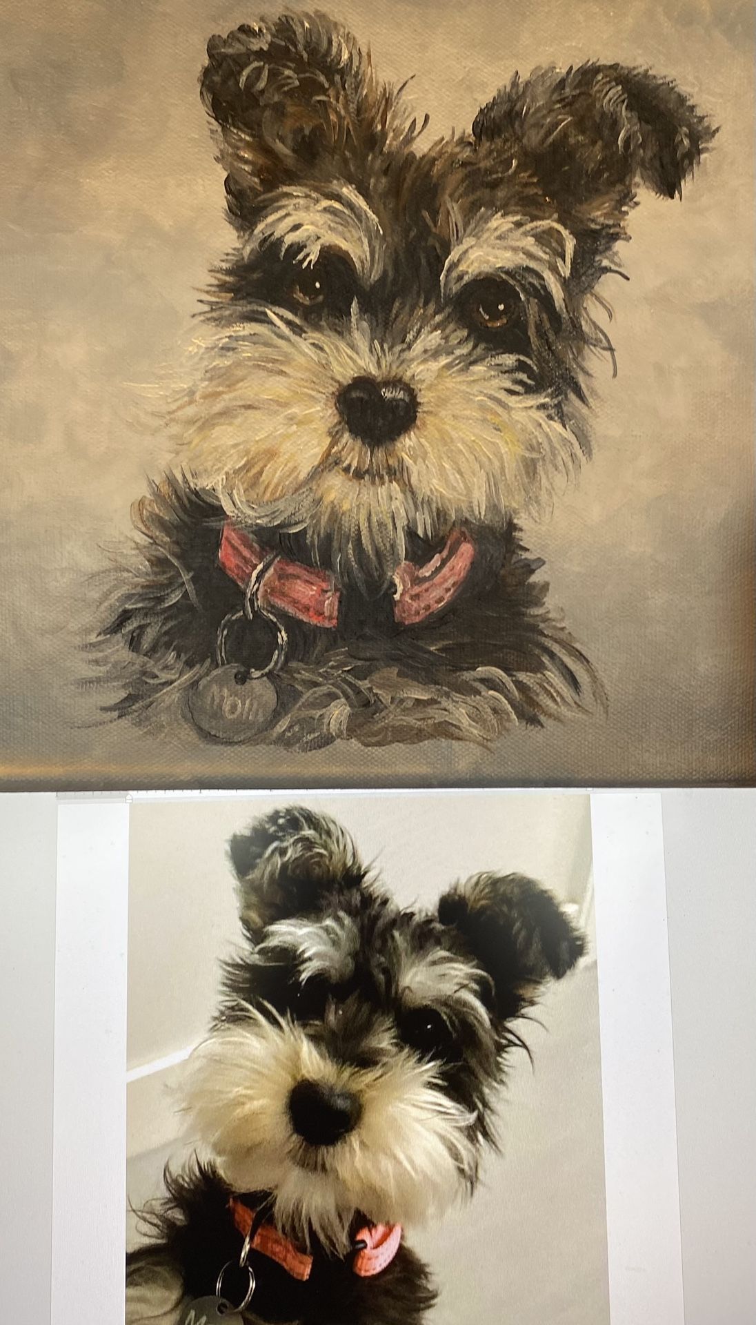 Custom Painted Pet Portraits