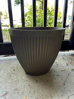 Pot-New        Oakdale 